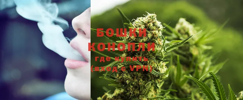 купить наркоту  Черкесск  МАРИХУАНА OG Kush 